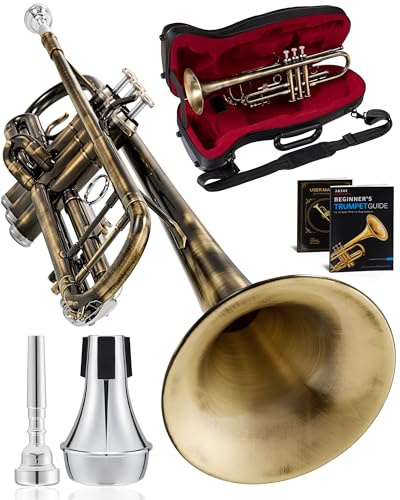 AKLOT Antique Bronze Bb Trumpet: Phosphor Bronze Bell, Smooth Monel Valves, Double Tuning Slide Braces, Standard Trumpet with Premium Leather Case, Lesson Book, Trumpet Mute, Cleaning Kit (SNR-PriBC)