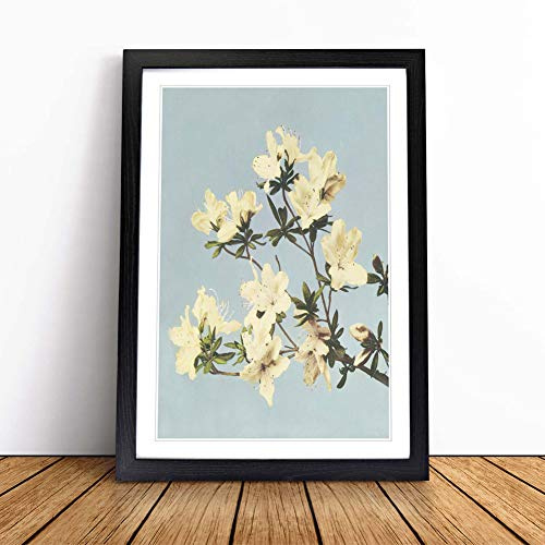 Japanese Azaleas by Ogawa Kazumasa | Framed Wall Art Print | Modern Home Decor Picture | Ready to Hang Artwork for Living Room, Bedroom, Kitchen or Office | Multiple Sizes