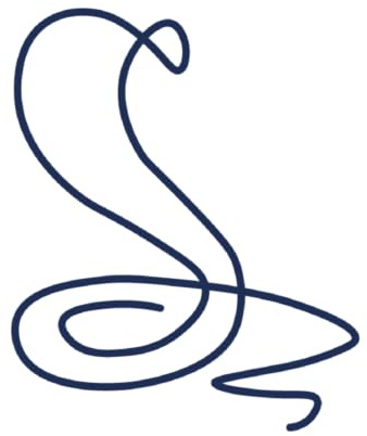 Tattwo.me – Temporäre Tattoos für Erwachsene und Kinder, hält 2 Wochen, wasserfest – Schlange – Pflanzliche Tinte – EU-Kosmetik-Zertifikat – (P0600)