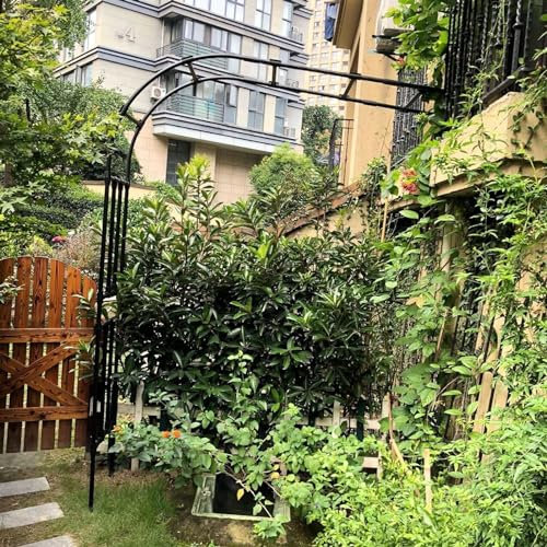 DMMFTERL 240 cm Metallpergola, halbseitiger Gartenbogen für Kletterpflanzen, Garten, Halbbogen, Spalier, Metallstahlrohr, Rosenbogen, Breite 60/120/180/220/270/300 cm (Größe: B200 x