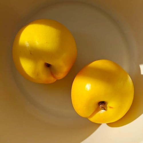 Semi di nettarine, nettarine resistenti in vaso da interno rampicanti balcone rialzato aiuole rialzate biologiche per il giardino 12pcs