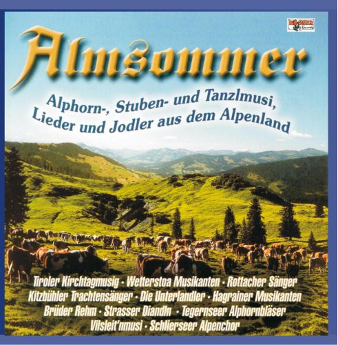 Almsommer-Alphorn-Stuben-Tanzlmusi