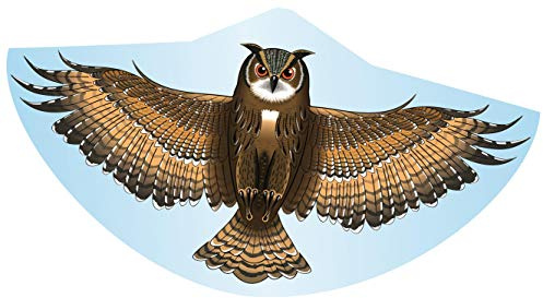 GÜNTHER FLUGSPIELE 1193 - Aquilone per bambini con motivo di gufo, aquilone a linea singola in robusto foil di PE, per bambini a partire da 4 anni, dimensioni circa 122 x 68 cm