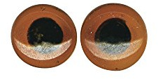Rayher Glastieraugen zum Aufnähen, braun, 10 mm ø, Btl. 10 Stück, Tieraugen Glas, Teddyaugen, Puppenaugen, 8904205