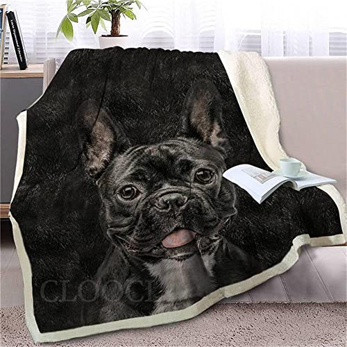 QSJSQTN Decke Wohndecken Kuscheldecken 150x200 Schwarze französische Bulldogge Decken Couchdecke Weiche Warme, Kuscheldecke Flauschig Sofa überwurfdecke, Kinderdecken Wolldecken für Couch Bett