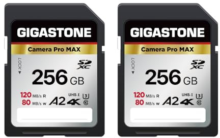 [Recuperación de Datos Gratuita de 5años] GIGASTONE Tarjeta SD 256GB 2-Pack, 4K A2 Cámara Pro MAX Speed 120MB/s,Compatible con Cámaras Canon, Nikon, Sony, Kodak,Video 4K UHD,con 1 Estuche Pequeño