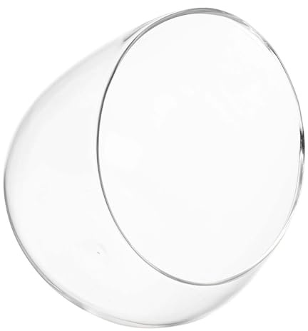 MOTHNUR Bol Verre Transparent pour Succulentes Terrarium Écologique de Bureau Récipient Incliné pour Plantes Intérieur Décoration Micro-Paysage Pot à Plante Hydroponique