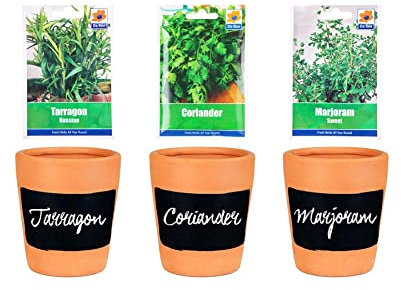 DIY Grow Your Own Herbs Sets: 3PC Terracotta Chalkboard Herb Planters with Tarragon, Coriander and Marjoram Seeds.