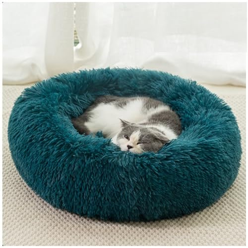 HUAXIQUE Hundebett Rund Hundekissen Plüsch Donut Mittelgroße Hunde Hundebett für Große undekissen Waschbar Flauschig Hundematte Flauschiges Hundebett 70cm Zyan