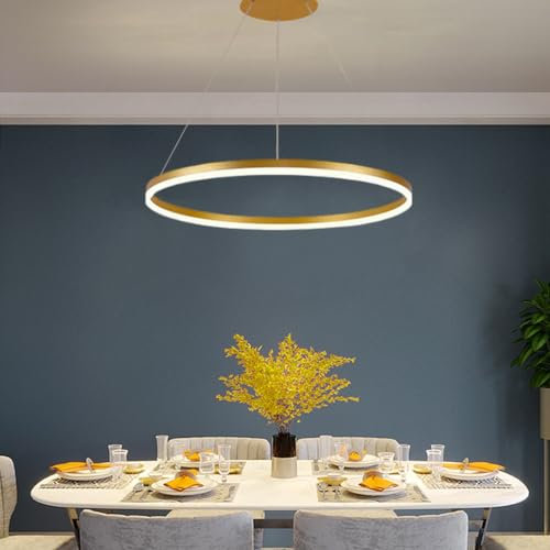 RuiRfh Kronleuchter modern den Innenbereich einfache LED Esszimmer Pendelleuchte Ring Hängeleuchte dimmbar hängende Höhenverstellung geeignet für Wohnzimmer Esszimmer Küche Insel Foyer Büro Deckenbele