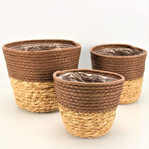 OF 3 Blumentöpfe aus Seegras geflochten, rund im Set - Blumentopf Pflanztopf Übertopf groß (Braun P72)