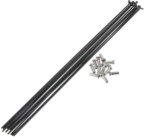 A ABSOPRO 14G Raggi per Bicicletta 12 Pezzi con 12 Pezzi Nipplo Raggi Ruota Bici in Acciaio Inossidabile 304 Nero