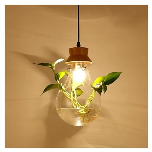 Modern Solid Wood Glass Plant Pendant Lights Garden Plant Flower Pot Restaurant Shop Ceiling Lamp Hanging Lamp,Modern