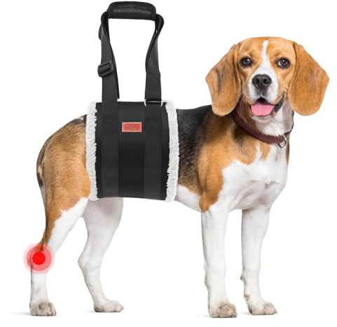 Verstellbarer Hunde Tragehilfe, Tragbarer Tragegurt zur Rehabilitation von mittleren und großen Hunden - Gehhilfe mit Griffen als Sicherheitsunterstützung für behinderte, verletzte oder ältere Hunde