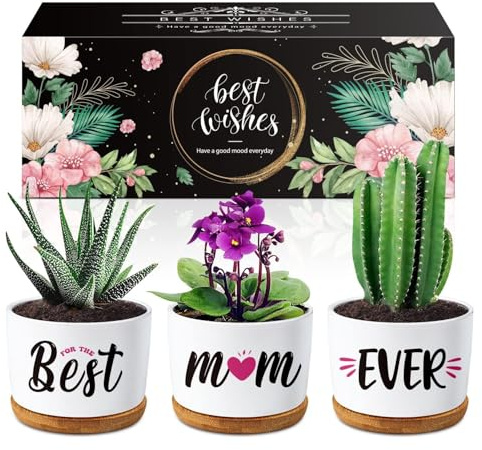 Buioata Mum Gifts from Daughter Son, Birthday Gifts for Mum on Her Birthday - Succulent Planters Best Mum Ever - Mummy Gifts for Mummy, Best Mothers Day Presents for Mum from Kids