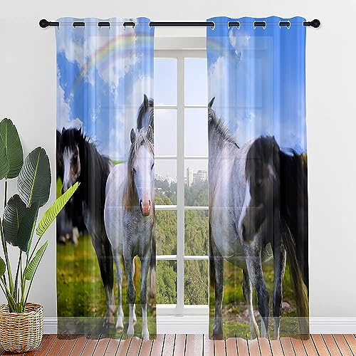 Surwin Cavallo Tende per Interni, Tende a Vetro con Occhielli, 2 PezziTende Camera da Letto, Tende Voile Semi Trasparenti, per Camera Cucina, Soggiorno (Arcobaleno,140x275cm)