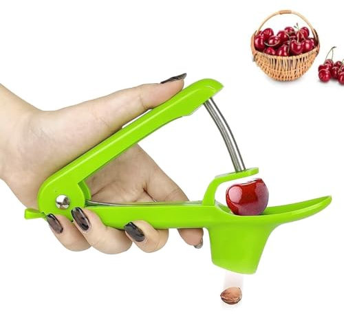 Ruayia Ananasschneider Ananas-Entkerner aus Edelstahl, Ananaskernen Zuhau Asdirne Ananas Schäler Obstkerne Entfernen