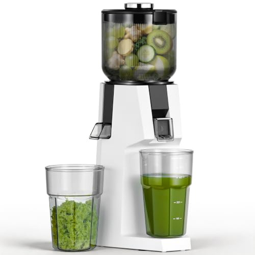 AAOBOSI Extracteur de jus de fruits et légumes 200 W vainqueur du test avec grand compartiment de remplissage de 132 mm sans prédécoupage - Slow Juicer avec récipient sans BPA de 700 ml pour fruits et