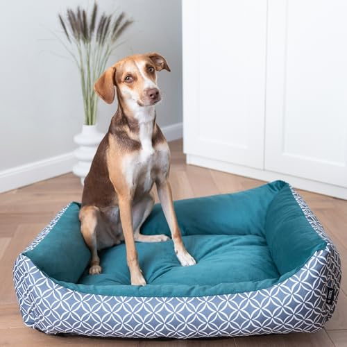 4L Textil OTTO Hundebett waschbar Hundekorb mittelgroße Hunde Hundekissen flauschig Hundekörbchen Hundesofa Türkis (100x80 cm, Türkis)