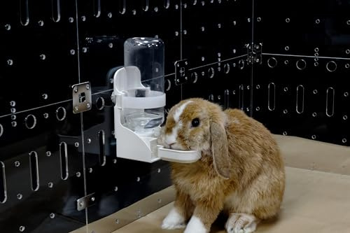 GuineaLoft™ Auto Drinker - ⁦Water Bottle for Rabbits, Ferrets, Quails and Small Animals in Need of Simple Way of Drinking. No Need to Push Any Tabs. Automatically Refill to 3/4 Full. No Spillage