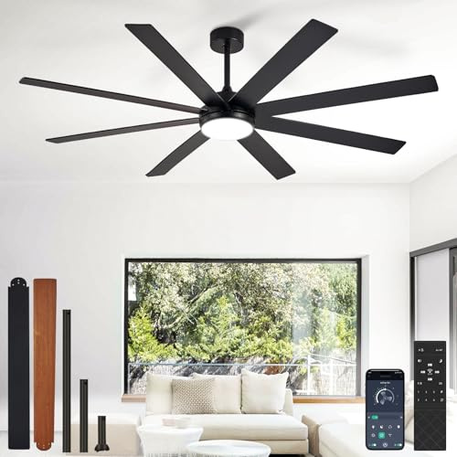 Depuley Ventilateurs de plafond 66 pouces avec éclairage: Ventilateur de plafond noir pour terrasses extérieures - Grand ventilateur à 8 pales avec éclairage et contrôle via application mobile