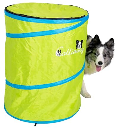 Callieway Hoopers Agility Barrel – Tonne/Fass für Hundetraining (Doppelpack, Blau) | Leicht, stabil & beschwerbar | Inkl. Transporttasche | Agility Parcours für Hunde | Blau (Lime)