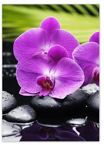 WTD H907 Sticker mural décoratif Motif orchidée sur pierres 50 x 70 cm