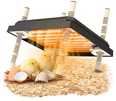 mumisuto Plaque Electrique pour Poussins 10 * 10in, Lampe Chauffante Poussin Plaque Chauffante Poussin, Hauteur Température Réglable, Plaque Chauffante, Chauffe-Poussins, Lampe Chauffante