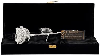 Eternal Rose Silver-Dipped Real Rose, 11 Inch Preserved Flower with Gift Box, Romantic Anniversary and Birthday Keepsake (Silver)
