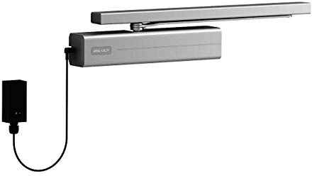 Tesa Assa Abloy DC700FM-D35 Cierrapuertas Con Guia Deslizante Para Puertas, Gris