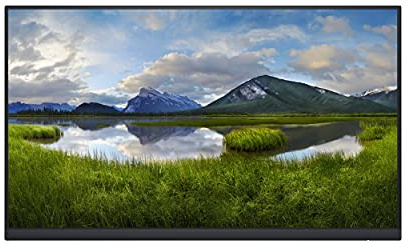 Dell P2422H - Without stand - LED monitor - 24 (23.8 viewable) - 1920 x 1080 Full HD (1080p) @ 60 Hz - IPS - 250 cd/m² - 1000:1-5 ms - HDMI, VGA, DisplayPort