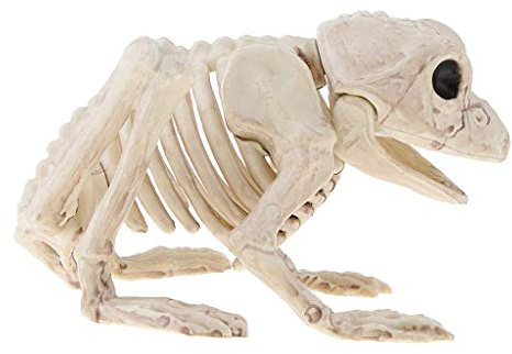 Tubayia Schreckliche Frosch Skelett Tier Knochen Modell Dekoration für Halloween Spukhaus