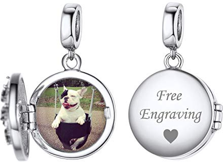 ChicSilver Charms et Perles pour Femme,Charme Photo Personnalisé,Charme Arbre de vie