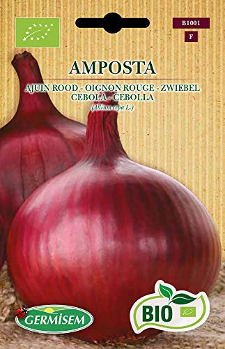 Germisem Biologico Amposta Semi di Cipolla 2 g