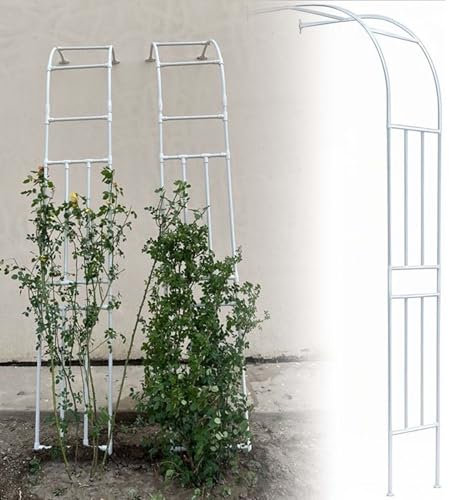 Arche de jardin en métal pour plantes grimpantes, treillis en acier pour roses et vignes, pergola décorative pour jardin, terrasse, pelouse, allée (150 x 240 x 40 cm)