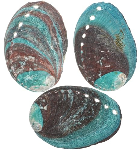ABOOFAN Lot De 3 Bols À Bavures en Coquillage Nacre Coquille D'Ormeau pour Purification Support pour Cristaux Bibelots Et Objets Sacrés Décor D'Autel Et Maison 3.35 X 2.44 X 0.71