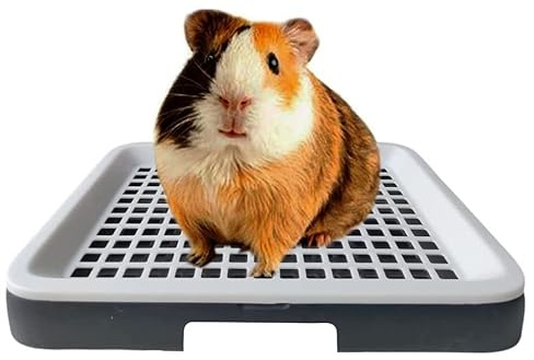 Litter Box for Small Animals - Triangle Toilet Trainer for Rabbits, Rats, Guinea Pigs - Mesh Grate Design Pet Potty