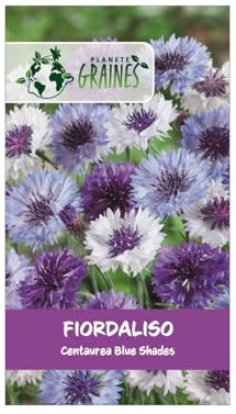 50 graines de centaurée des champs 'blue shades' (bleuet) - fleur sauvage aux nuances de bleu profond - annuelle mellifère pour bouquets