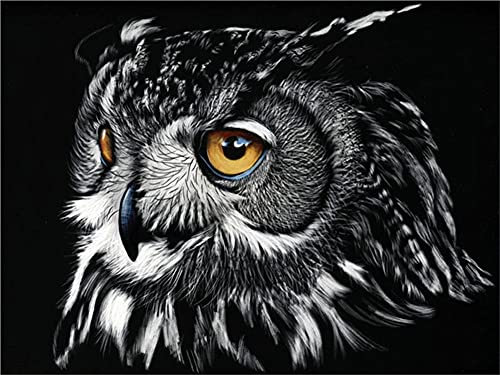 DIY 5D Diamond Painting Set für Kinder/Erwachsene Eule Tier Kreuzstich Diamant Painting Bilder Full Drill Kristall Stickerei Kreuzstich Kunsthandwerk für Home Wand Dekorationen Geschenk 50x70cm
