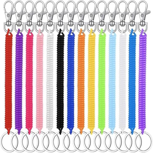 HoAhaMay 14 Piezas Llavero con muelle, llavero en espiral, llavero retráctil con muelle en espiral para hombres, mujeres y niños para exteriores, trabajo, pesca, barco, camping, llaves (14 Colores)