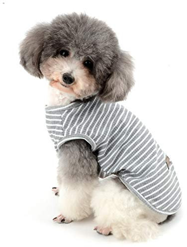 Zunea Hundeshirt für kleine Hunde, Katzen, Haustiere, gestreiftes T-Shirt für den Sommer, coole Weste, Welpen, Basic, Tank-Top, weiche Baumwolle, Chihuahua, Kleidung für Hunde, Grau, Größe M