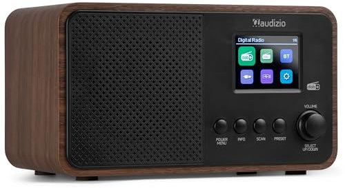 Audizio Avio Radio Dab+ Bluetooth, USB, Timer e Orologio, Display TFT da 2,4, Radio digitale per casa, cucina e camera da letto, potenza da 30 W, ingresso aux, design compatto ed elegante. Colore