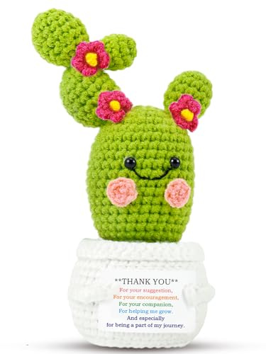 Regali di ringraziamento per piante positive: cactus in fiore all'uncinetto, regalo per donne, amici, sorella, compleanno, festa della mamma, simpatiche bambole divertenti con biglietti ispiratori