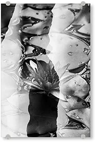 artboxONE Acrylglasbild 45x30 cm Schwarzweiß Lotus by Tas BW - Bild schwarzweiß Blumen Double Exposure