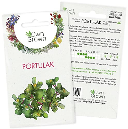 Portulak Samen: Portulak Saatgut zur Anzucht von 500 Kräuter Pflanzen – Wildkräuter Samen – Kräuter Saatgut Pflanze – OwnGrown Seeds