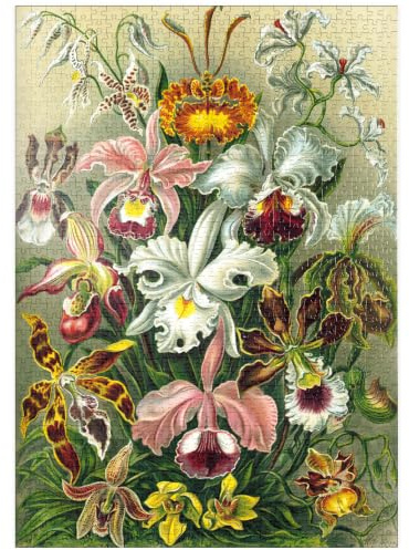 MyPuzzle Orchidée - Formes d'art De La Nature, Affiche d'art Vintage, Ernst Haeckel - Premium 1000 Pièces Puzzle - Collection spéciale MyPuzzle de Havana Puzzle Company