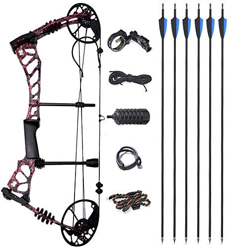 ZSHJG Compound Bogen Set Bogenset für Bogenschießen Sportbogen Verstellbarer Jagd Compoundbogenset 40-60 lbs Rechte Hand Jagdausrüstung mit Komplettes Zubehör Kit (Typ 3)