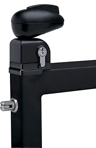 Serrure Twist pour portillon de piscine LOCINOX - noir ral 9005 - TWIST 40 9005