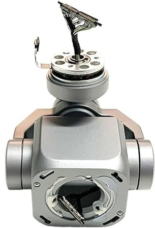 ZYJOZMD pour Mavic 2 Pro Gimbal Caméra pour 2Pro Moteurs pour pour Zoom Bras Testé pour DJI pour la série(Pro)