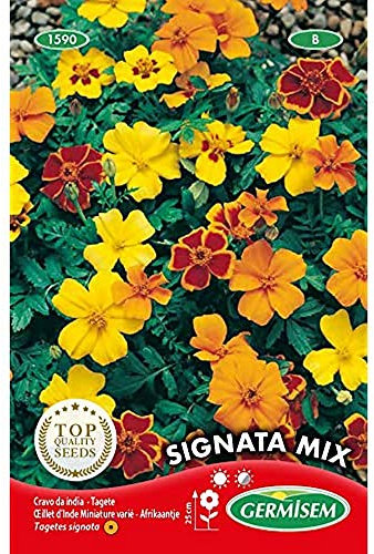 Germisem Signata Mixed Semi di Tagetes 0.5 g